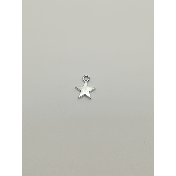 Colgante Estrella Plateada